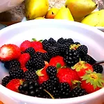 Bed and Breakfast Il Castello